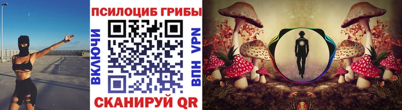Купить  Верея  Псилоцибиновые грибы Psilocybine cubensis 